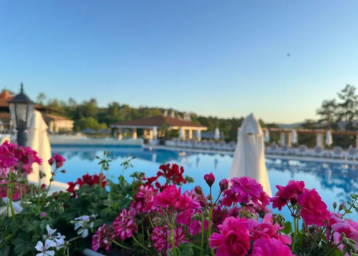 Sm Lovely Apartments On The First Line In Sozopol