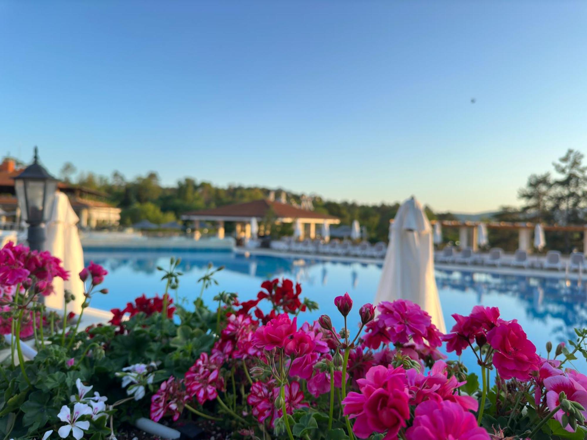 Apartment Sm Lovely On The First Line In Sozopol